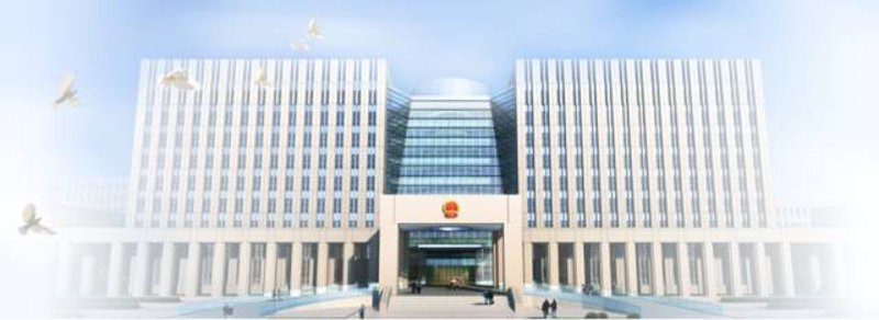 OA系统的定制化魅力:企业效率的乘法器